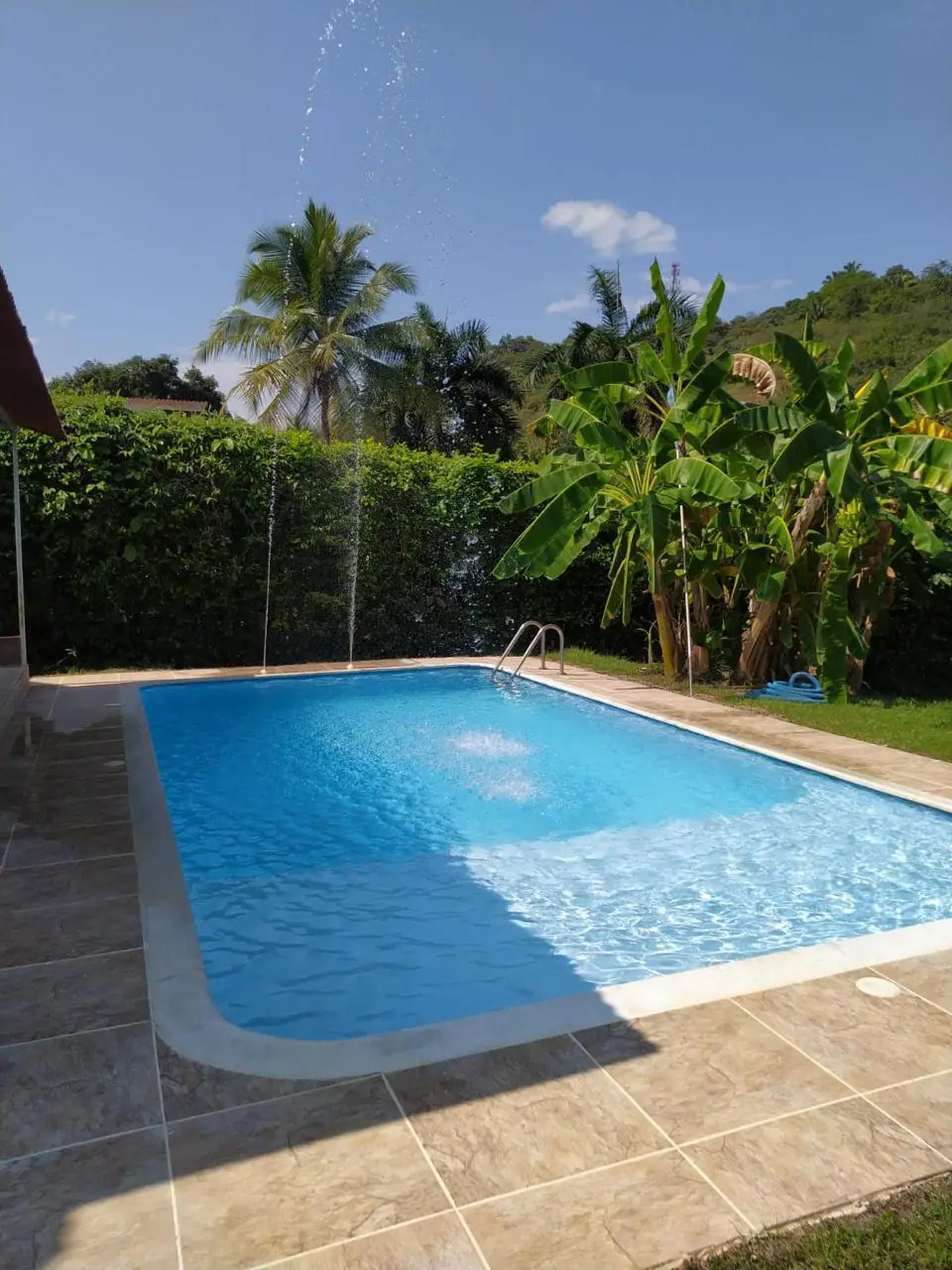 Piscina con palmeras y vista a la montaña